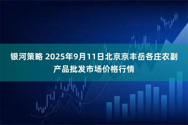 银河策略 2025年9月11日北京京丰岳各庄农副产品批发市场价格行情