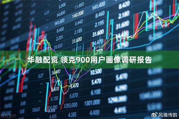 华融配资 领克900用户画像调研报告