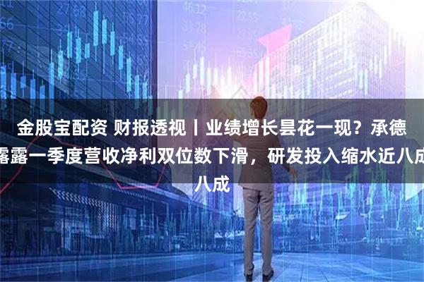 金股宝配资 财报透视丨业绩增长昙花一现？承德露露一季度营收净利双位数下滑，研发投入缩水近八成