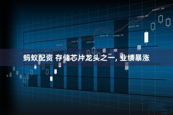 蚂蚁配资 存储芯片龙头之一, 业绩暴涨